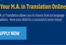 Translating a Successful Online Graduate Model for Undergraduate Teaching