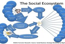 The Social Business Ecosystem